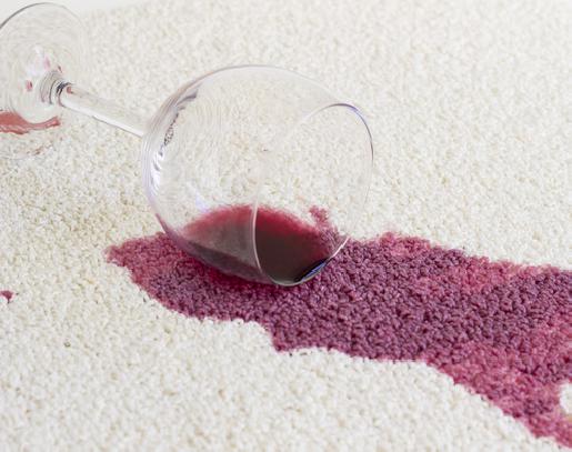 Professional Stain and Odor Removal